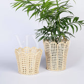 Scaloped Container MED 16 x 17 Tall Includes Glass Insert